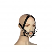 Кляпы, ошейники из кожи