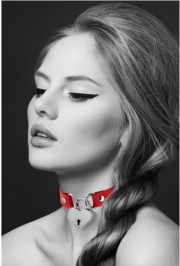 Кляпы, ошейники для пары