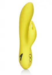 Вибраторы rabbit california exotic novelties