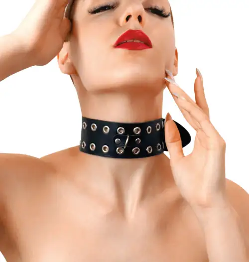 Ошейник Art of Sex - Tessa, натуральная кожа, цвет черный photo 1