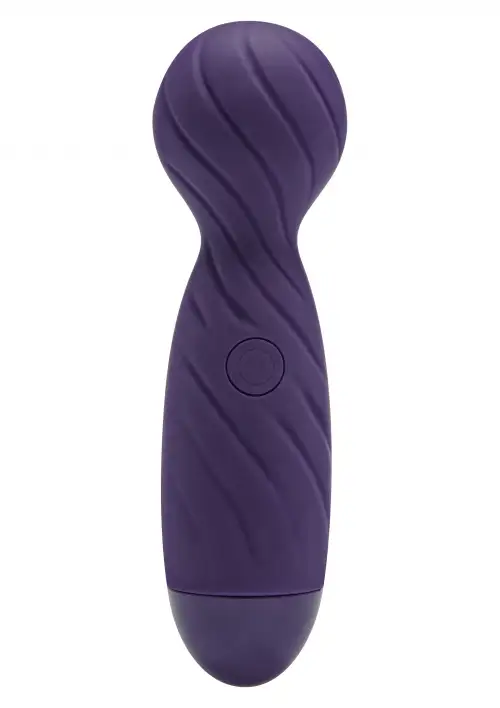Toy Joy Touche Wand Massager - вибромассажер, 19х5,5 см photo 1