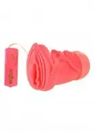 Мастурбатор с вибрацией Virgin Vagina photo 1