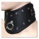 Ошейник photo 1