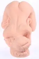 Мастурбатор Kokos Valentina 2WayPlus с вибрацией и массажем photo 3