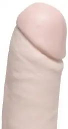 Фаллоимитатор SUCTION CUP 8 DONG FLESH photo 2