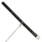 Ошейник с шипами и поводком Art of Sex - Collar Spikes and Leash photo 7